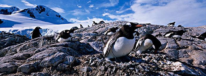史上首次私人太空行走 “北极星黎明号”7月31日发射