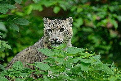 索尼互娱出席2022中国游戏产业年会，助力中国主机游戏走向世界